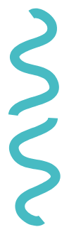 Zigzag